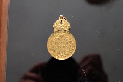 1917-1918 Medaila za vojenské zásluhy, Signum Laudis, Karol I.